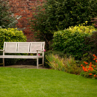 A shot of a white bench in a park
